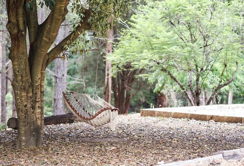 ホテル Forest Lodge Resort