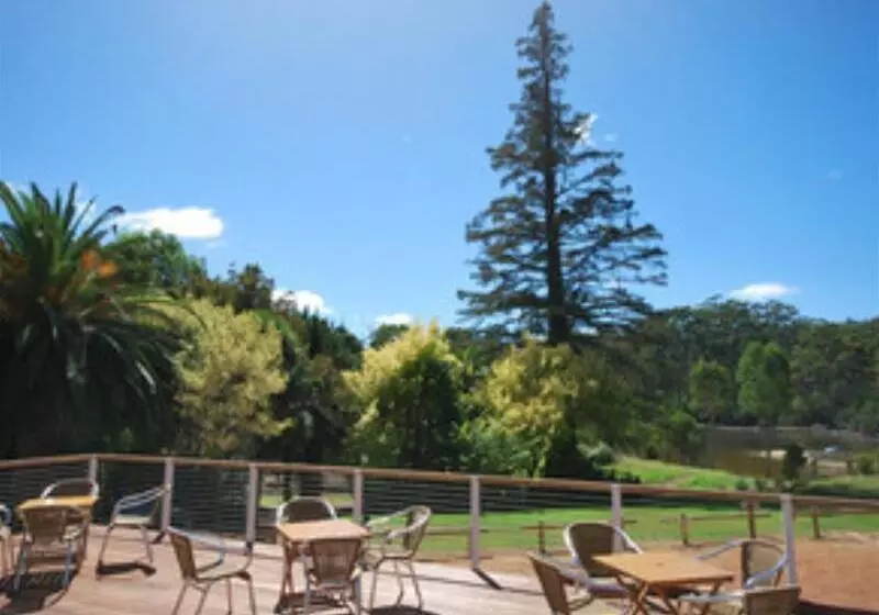 فندق Forest Lodge Resort