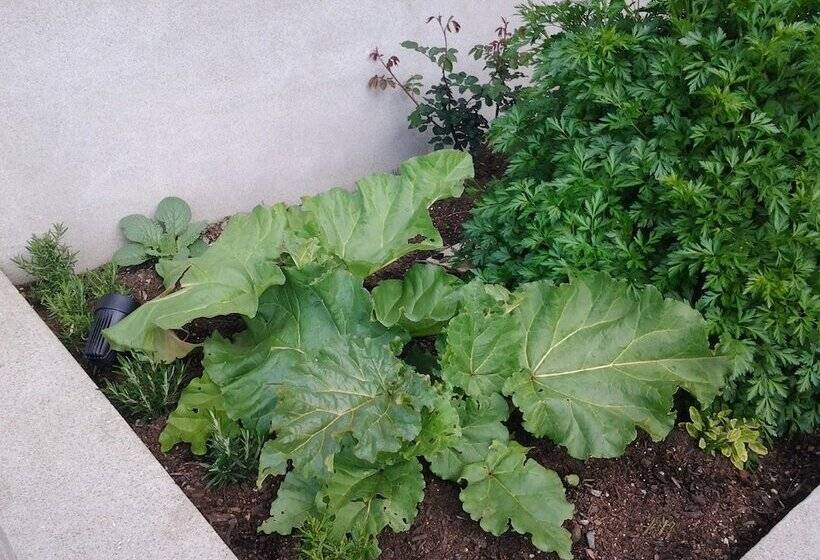 Hotel Takatu Lodge And Vineyard