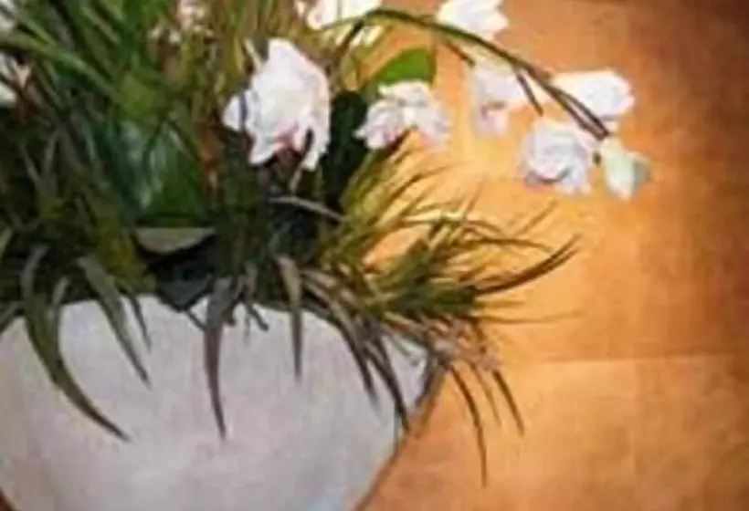 Terra Vive Suites & Apartments