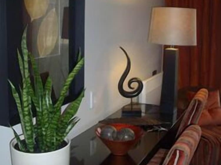 Terra Vive Suites & Apartments