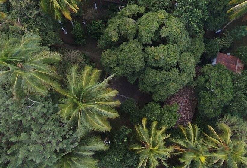 هتل Ecológico Tierra Blanca