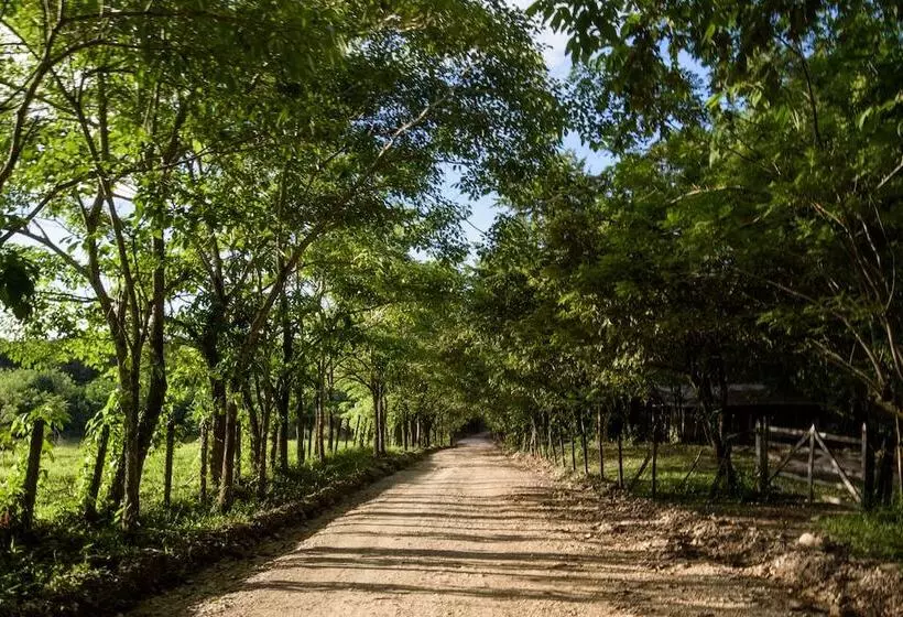 هتل Villas Adriana Palenque