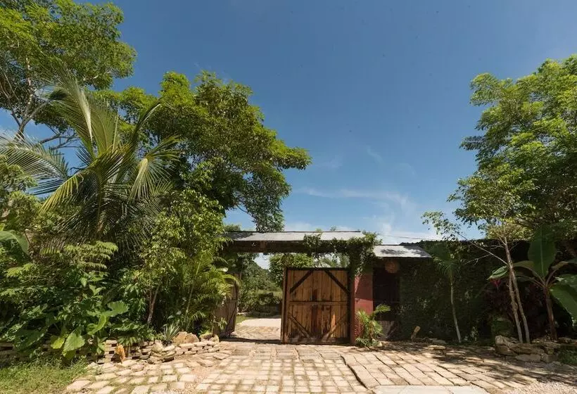 هتل Villas Adriana Palenque