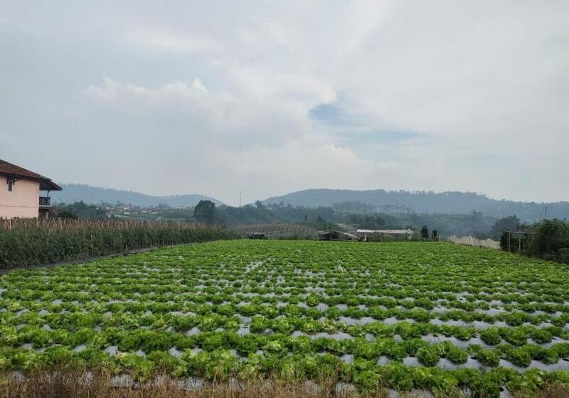 פנסיון Villa Lembang Bunda