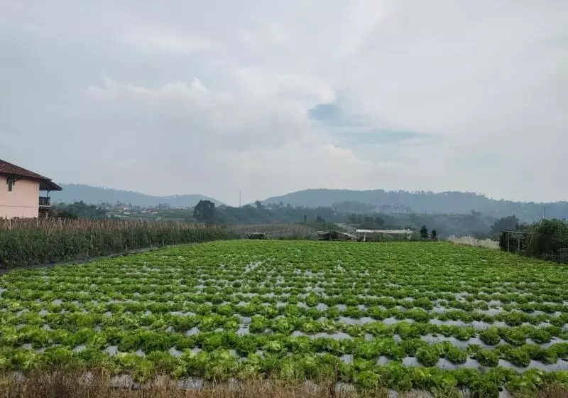 Pensió Villa Lembang Bunda