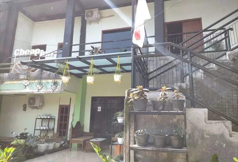 Herberge Cheap Inn Banyuwangi