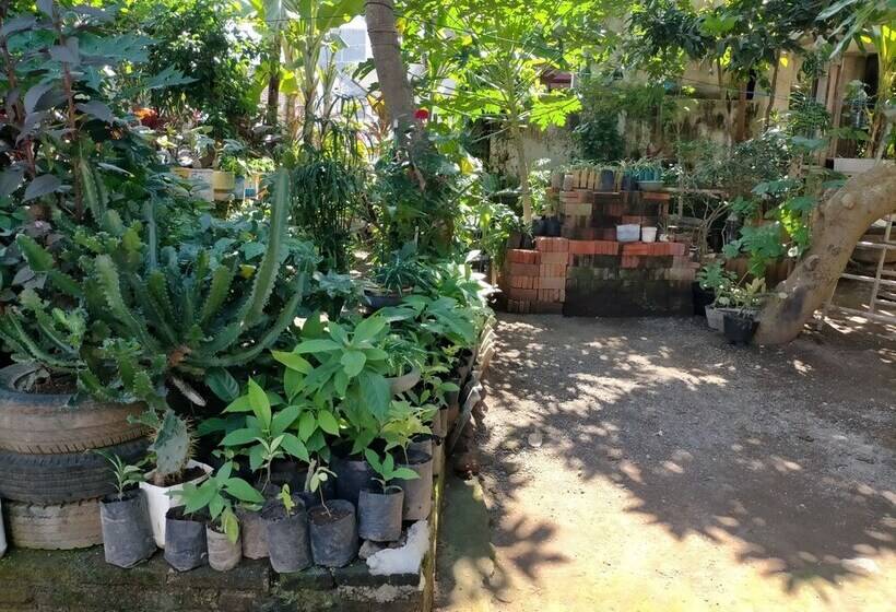 הוסטל Cheap Inn Banyuwangi