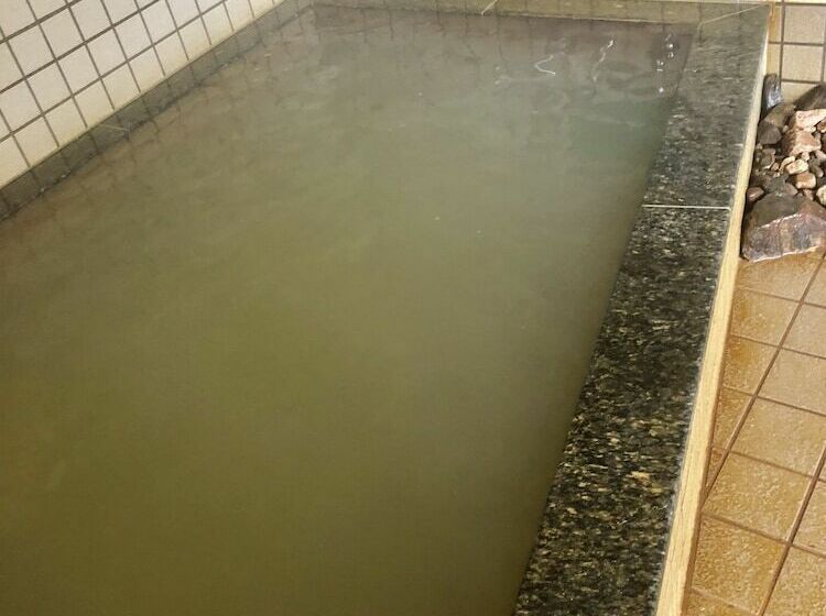 בית מלון כפרי Onsengoya