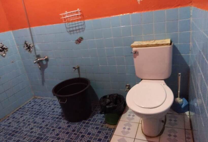 פנסיון Merlyn Guest House