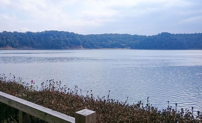 בית מלון כפרי Miike Camp Village