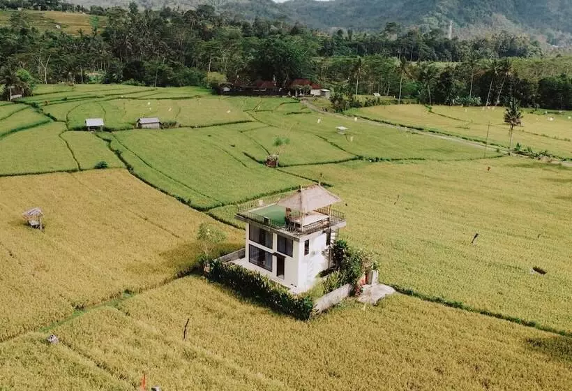 ホテル Natural View Sidemen Cottage