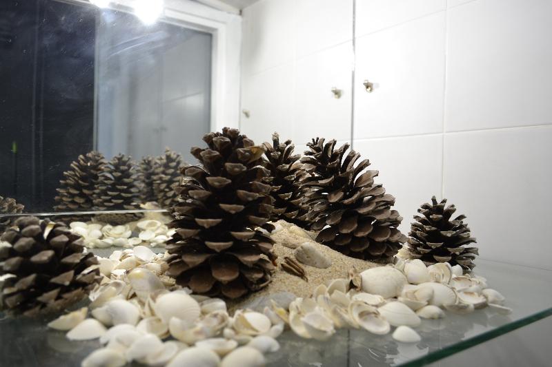 Albergue O Fogar De Teodomiro