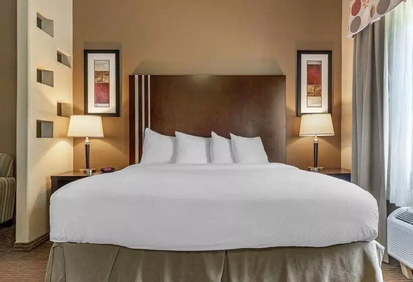 Best Western Plus Texoma Hotel & Suites