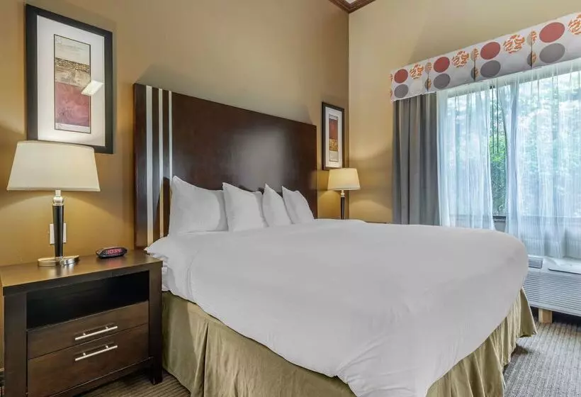 Best Western Plus Texoma Hotel & Suites