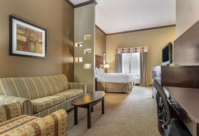 Best Western Plus Texoma Hotel & Suites
