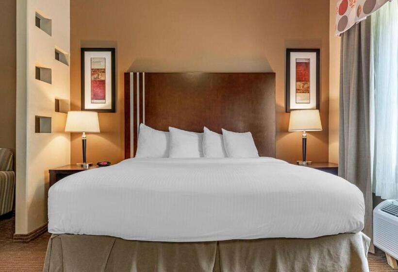 Best Western Plus Texoma Hotel & Suites
