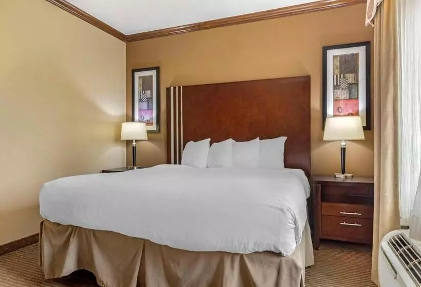 Best Western Plus Texoma Hotel & Suites