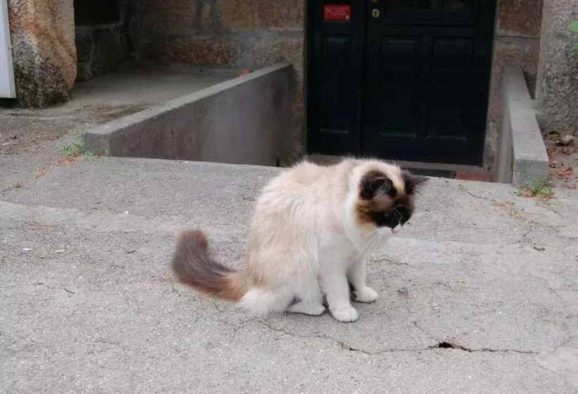 هتل Casa Da Quinta De S. Martinho