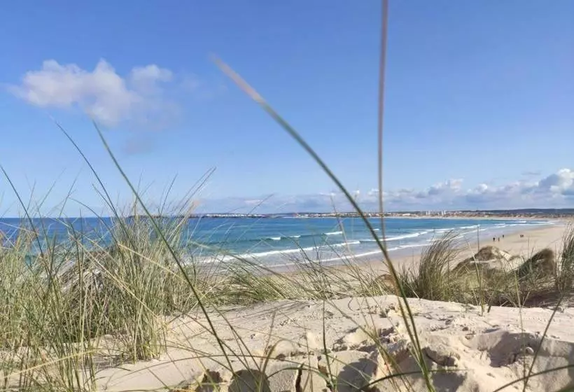 בית מלון כפרי G3 Gamboa Beach Houses