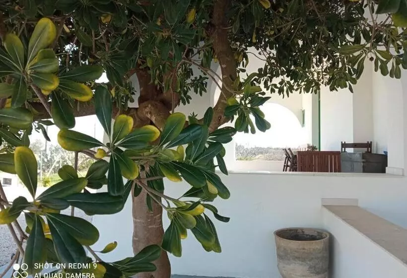 Majatalo Abaton   Casa Vacanza