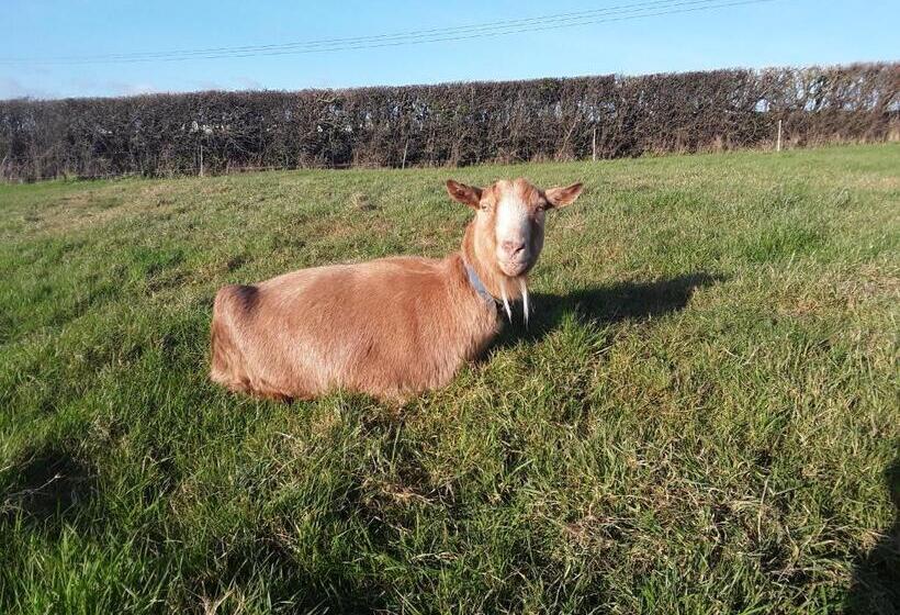 Sharlands Farm Bed And Breakfast