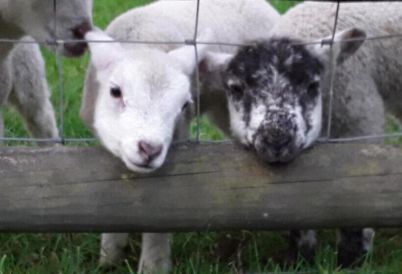 Sharlands Farm Bed And Breakfast