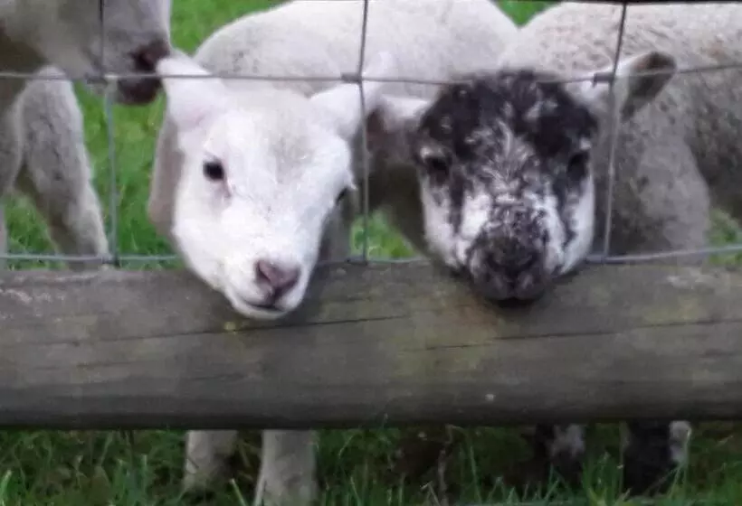 Sharlands Farm Bed And Breakfast