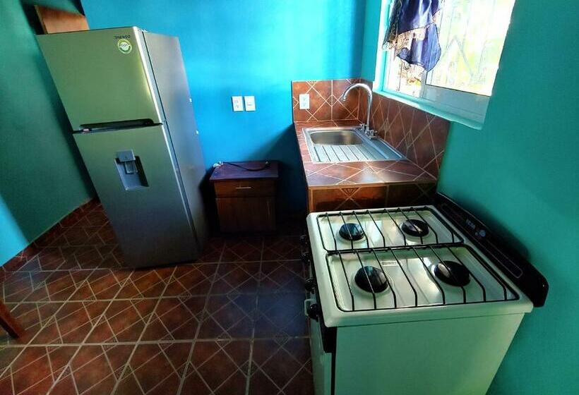 Общежитие Casa Nantli