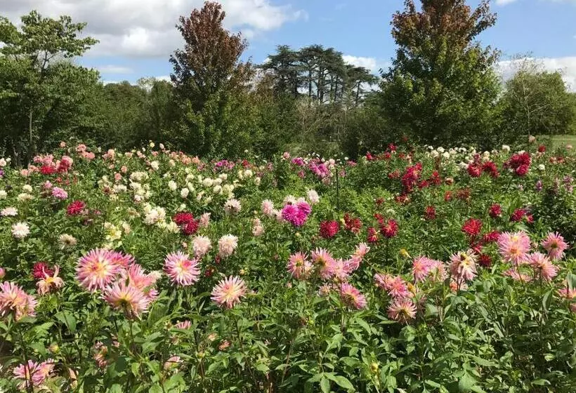 ベッドアンドブレックファースト Clos Saint Léonard