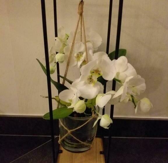 호텔 Le Ptit Spa De L Abbaye Suite Love Et Spa Privé