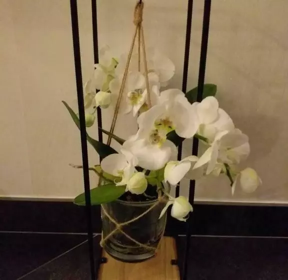 Hotelli Le Ptit Spa De L Abbaye Suite Love Et Spa Privé