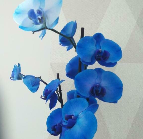 호텔 Le Ptit Spa De L Abbaye Suite Love Et Spa Privé