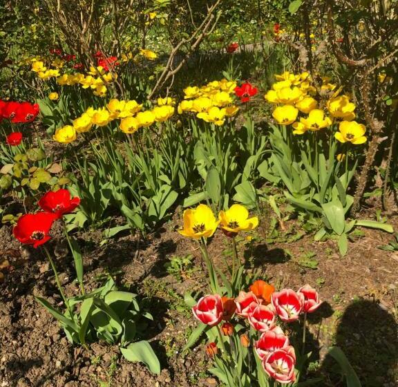 پانسیون Room In House Near Lycee International St Germain En Laye