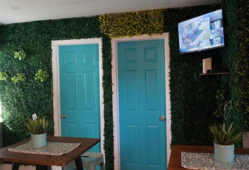 הוסטל Art Graffiti