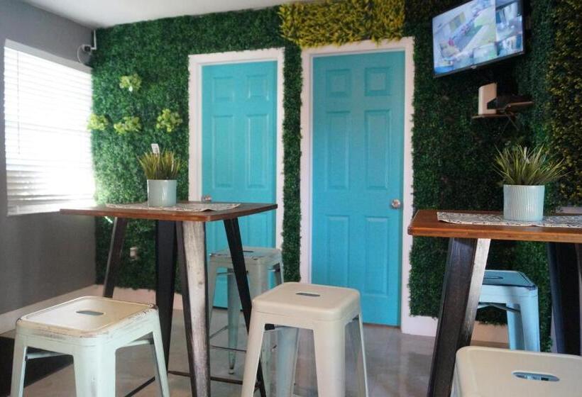 הוסטל Art Graffiti