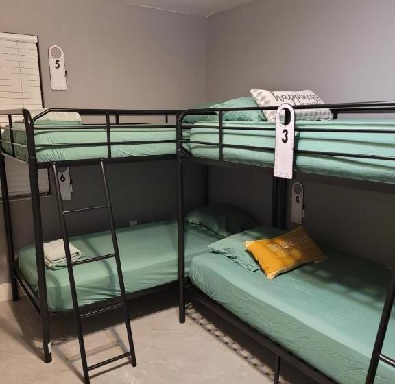 הוסטל Art Graffiti