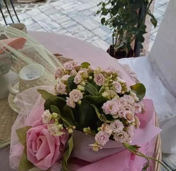 Aamiaismajoitus (B&B) Bb Lady