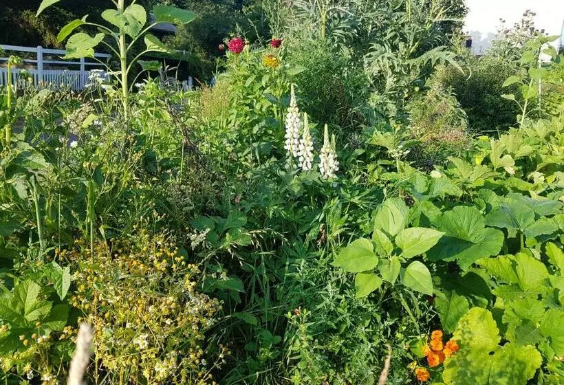 Aamiaismajoitus (B&B) Les Lupins