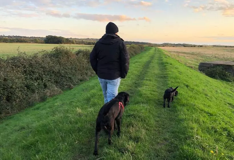 Aamiaismajoitus (B&B) Norfolk Accommodation