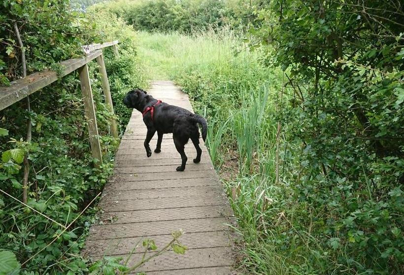 Bed and Breakfast Norfolk Accommodation