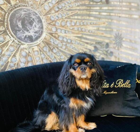 צימר Squero 911 Appartament