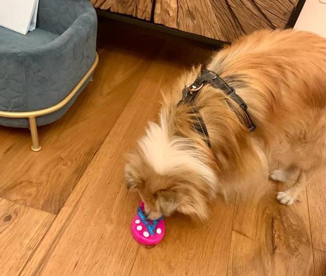 צימר Squero 911 Appartament