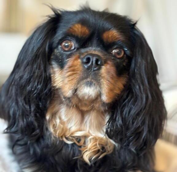 צימר Squero 911 Appartament