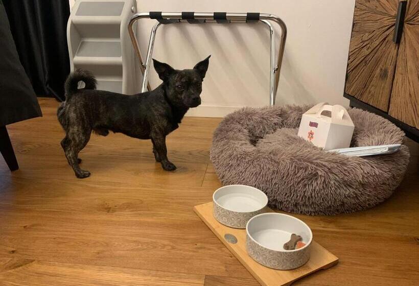 צימר Squero 911 Appartament