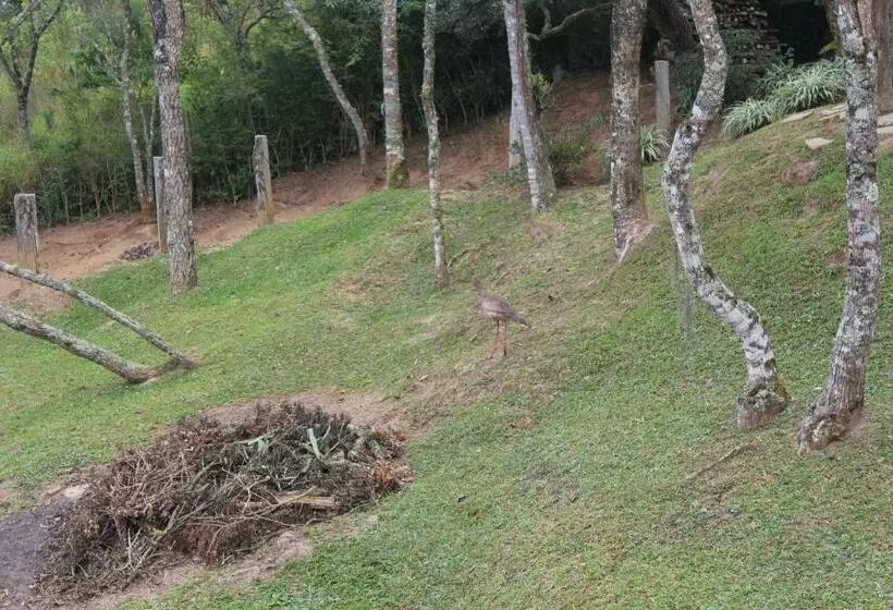 ベッドアンドブレックファースト Suite Com Terraço