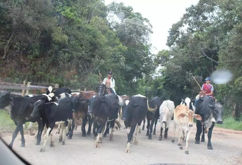 ベッドアンドブレックファースト Suite Com Terraço