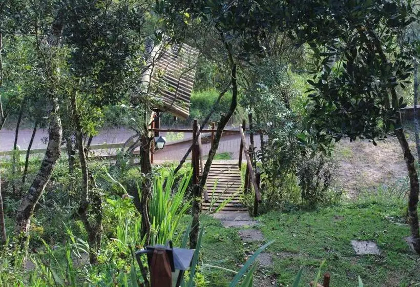 ベッドアンドブレックファースト Suite Com Terraço