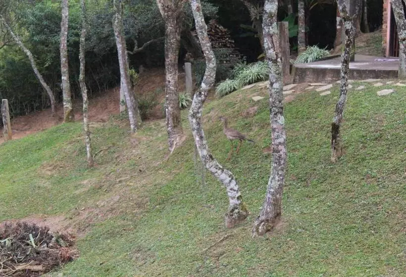 ベッドアンドブレックファースト Suite Com Terraço