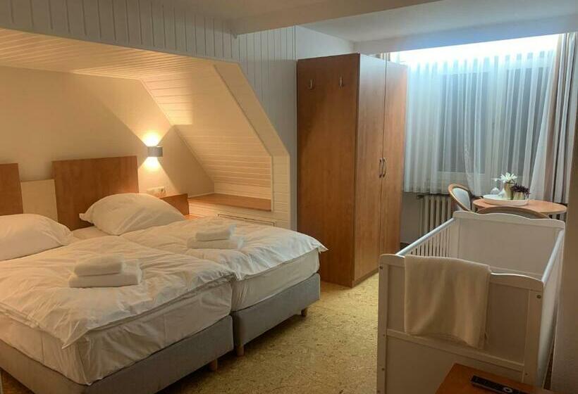 فندق Gold´ne Krone